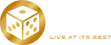 Vivo Gaming